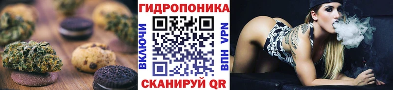 Canna-Cookies конопля  даркнет формула  Чита  купить наркотик 