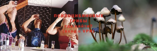гидропоника Верхний Тагил
