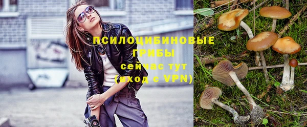 гидропоника Верхний Тагил