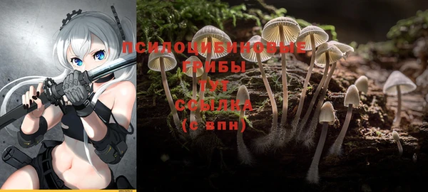альфа пвп Верхнеуральск