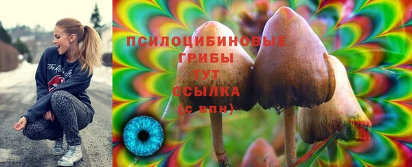 альфа пвп Верхнеуральск